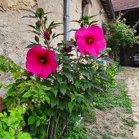 La Petite Maison Du Moulin * Maigne